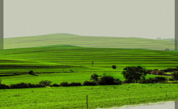 cederberg by Jackie Mitchell