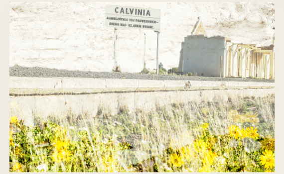 Calvina station by Jackie Mitchell