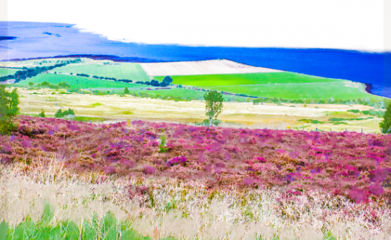 Scotland by Jackie Mitchell