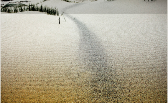 Sand by Jackie Mitchell