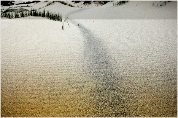 Sand by Jackie Mitchell
